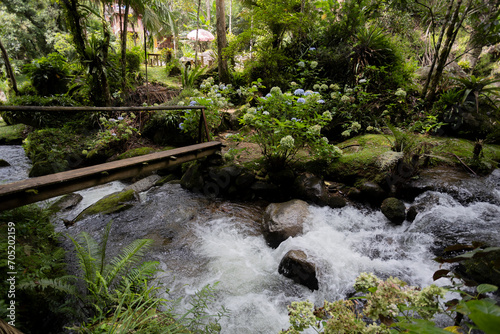 Fotografie Travessia de madeira para ilha no Rio Preto, Visconde de Mauá, Rio de Janeiro