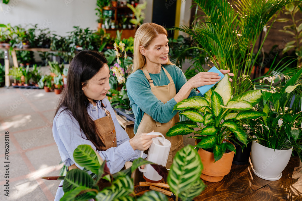 Obraz premium Two women, a shopkeeper and her employee work together harmoniously and amicably, wiping the leaves of plants in a store or workshop full of flowering plants