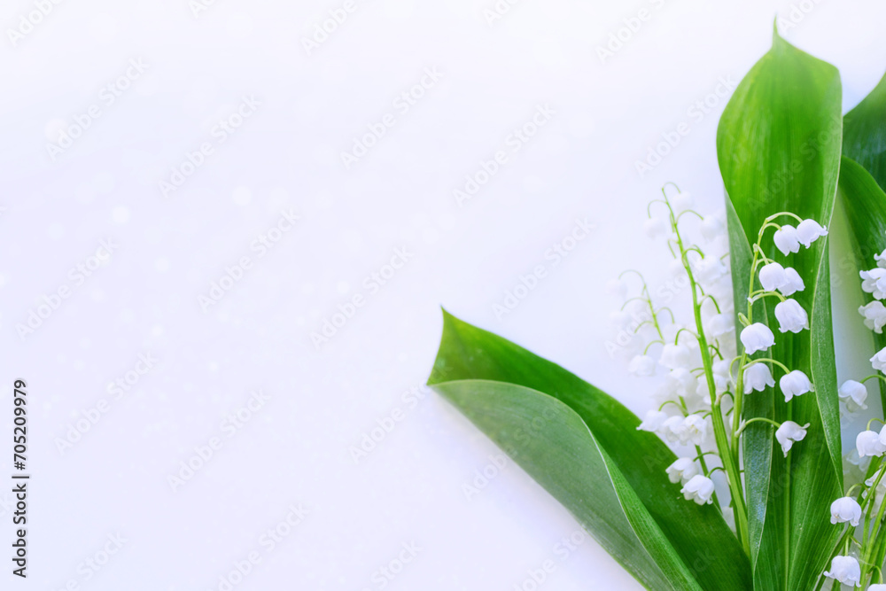 Obraz premium flowers lily of the valley on a light background.