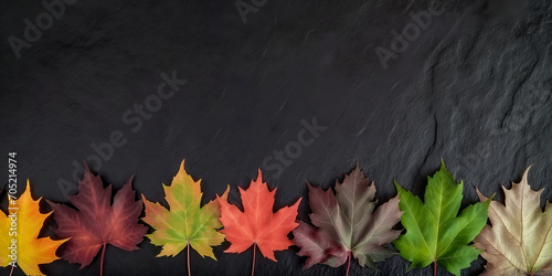 Herbstblätter in wunderschönen Farben auf schwarzen Hintergrund im Querformat für Banner, ai generativ photo