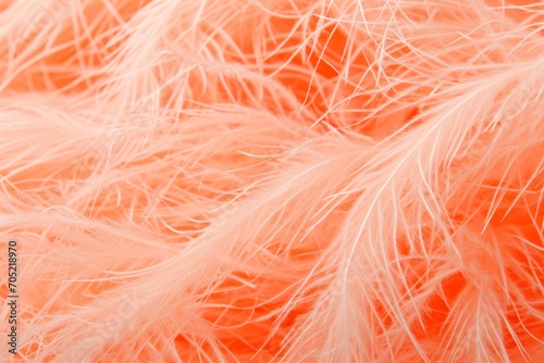 Peach fuzz background with feather texture