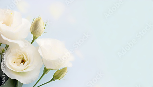 Pastelowy kwiat, kartka z miejscem na życzenia