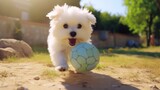 Cute little puppy playing with a soccer ball in park