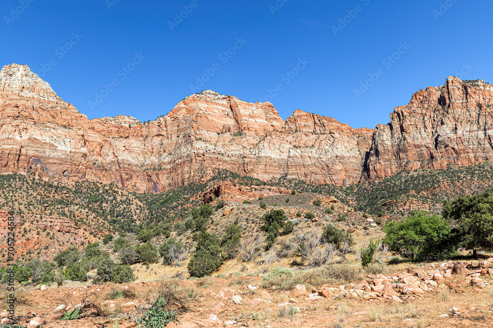 Colorful red canyon walls and desert landscape of Zion National Park Utah with a cloudless blue sky.