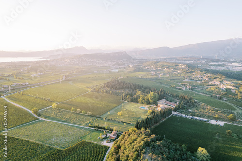 Green vineyards and fields surrounded by trees near Lake Garda with mountains in the background. Veneto, Italy. Drone