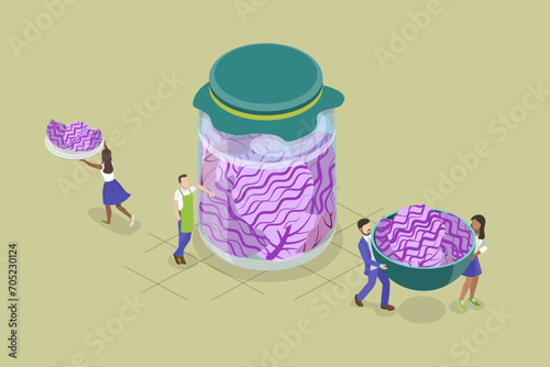 3D Isometric Flat Vector Illustration of Homemade Red Cabbage Preservation, Fermentation Foods for Healthy Digestion