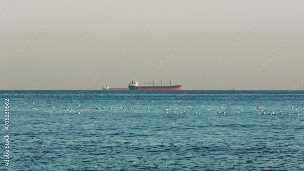 Seagulls over sea at sunset, near anchored ships in roadstead. Tranquil sea with seagulls at dusk, ships in background. Sunset seagulls on calm sea, providing scenic view with ships Seagulls over sea at sunset, near anchored ships in roadstead. Tranquil sea with seagulls at dusk, ships in background. Sunset seagulls on calm sea, providing scenic view with ships
