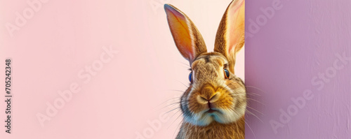Creative composition in bright pastel colors with an adorable Easter Bunny. Spring holidays and Easter greeting card.