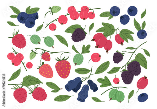 Wild berries. Ripe delicious raspberry, blueberry, strawberry, gooseberry and red currant, edible berries flat vector illustration set. Juicy forest berries collection