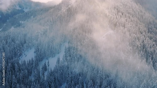 Snow covered blue pine trees covered by magical mist in beautiful golden sun light. Aerial birds eye view winter wonderland landscape drone footage 4K. Cinematic winter mountain nature sunny morning