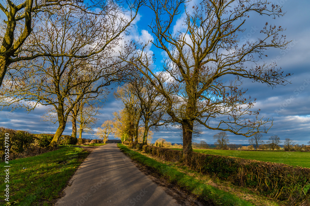 A view of early evening shadows on a quiet country lane in the countryside close to Gumley in Leicestershire, UK on a bright winter day A view of early evening shadows on a quiet country lane in the countryside close to Gumley in Leicestershire, UK on a bright winter day