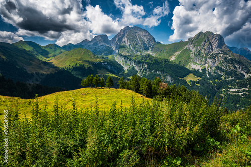 Naturalistic excursion among the forests and mountain pastures of Carnia. © Nicola Simeoni