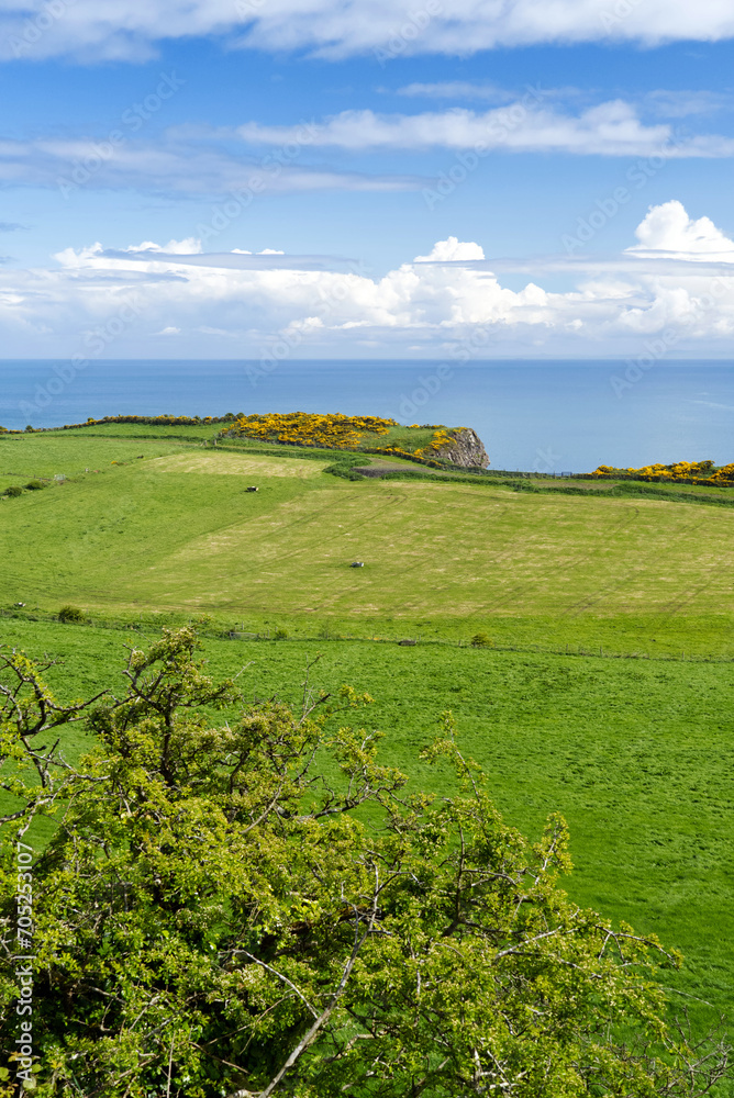 Obraz premium Landschaft beim Klippenpfad Gobbins Cliff
