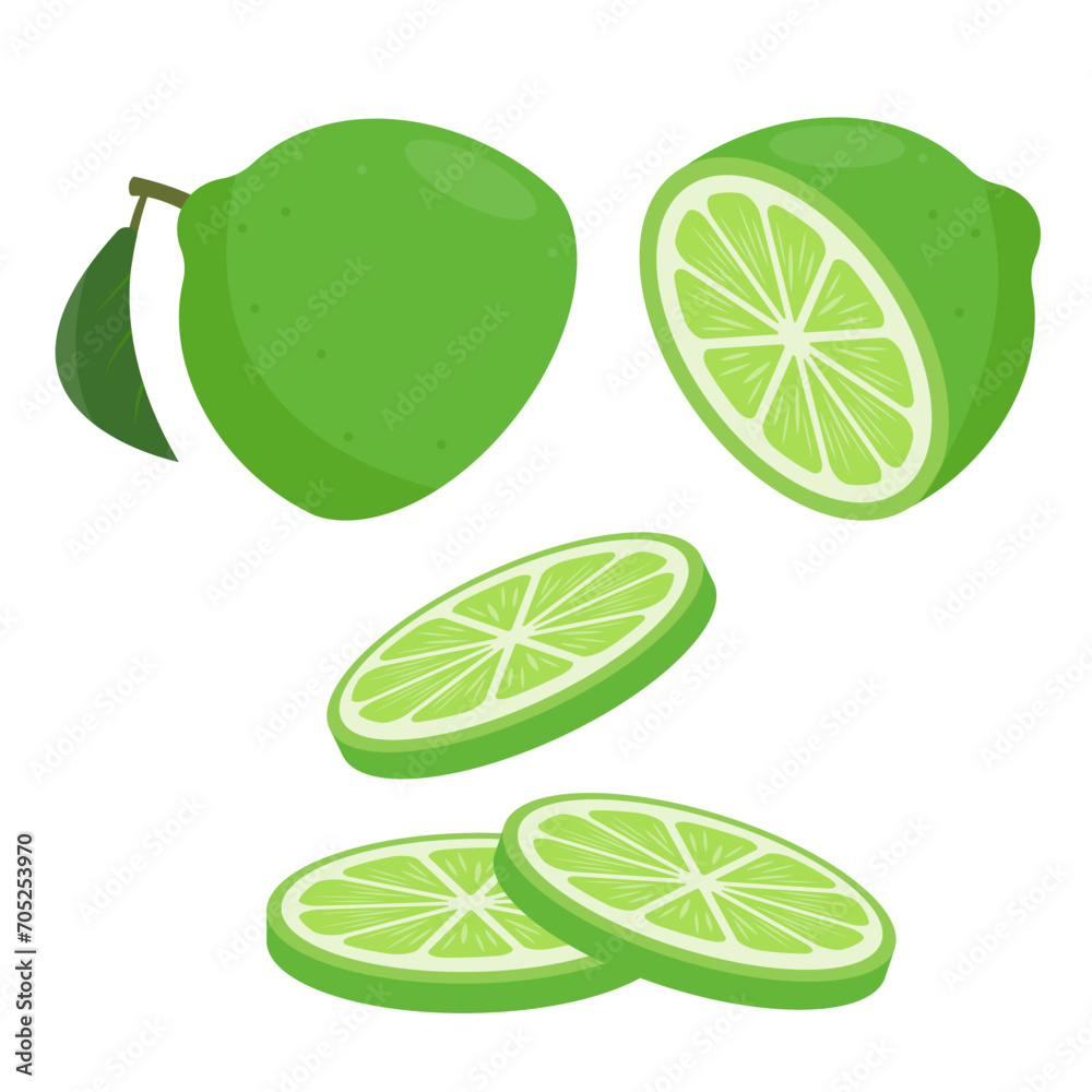 Fresh green cut lime and slices. Organic fruit for lemonade juice or detox smoothie, vitamin C healthy food. Vector icons illustration isolated on white background.