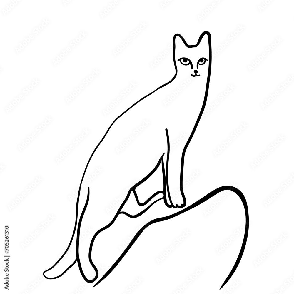 cat in doodle style.template for poster advertising print icon sticker design. cat in doodle style.template for poster advertising print icon sticker design.