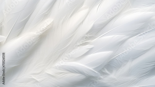 Closeup White Feathers Background for Peace, Calm, and Spirituality AI Generated