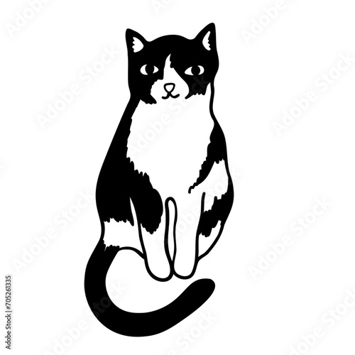 cat in doodle style.template for poster advertising print icon sticker design.