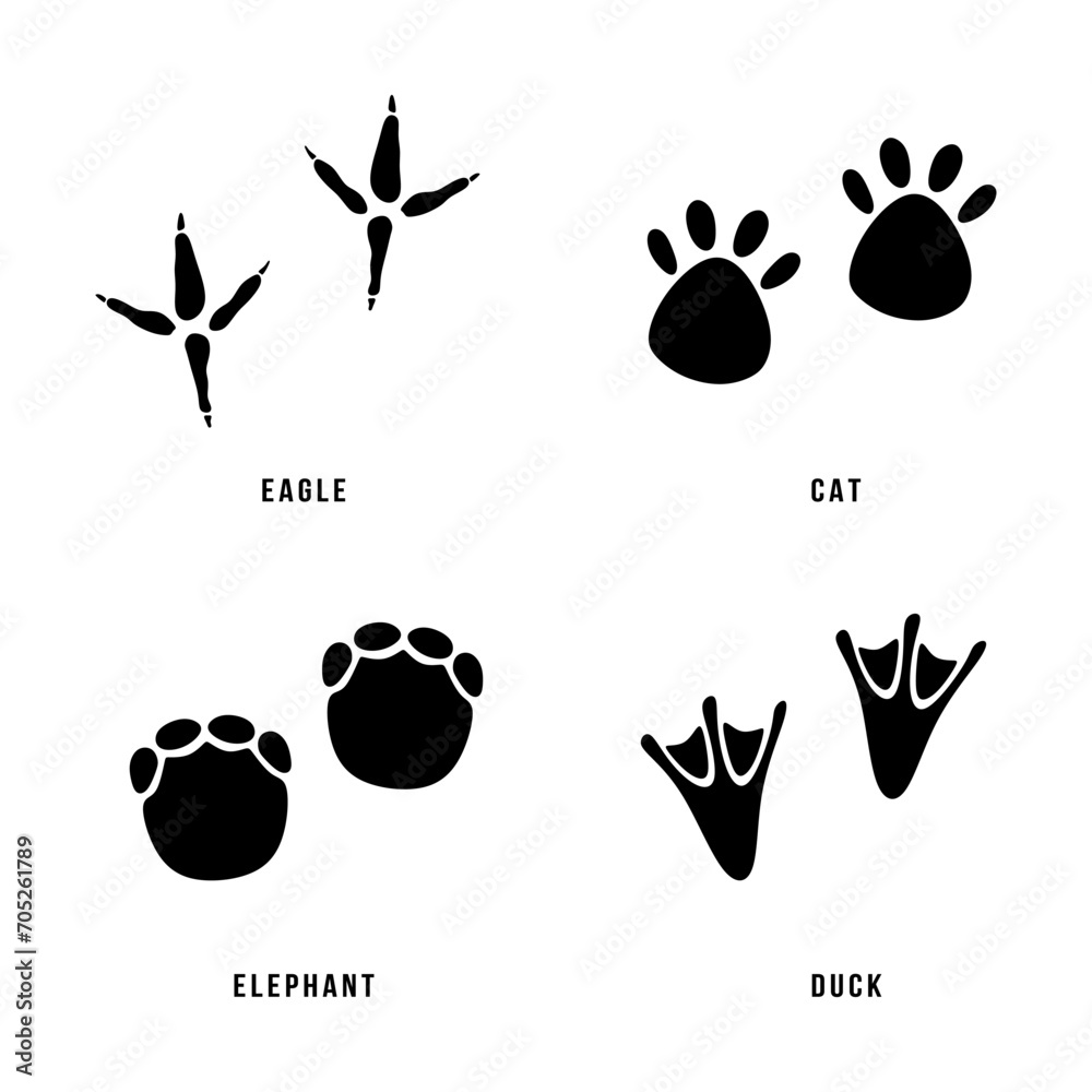 Fototapeta premium Set of animal footprints. Black silhouettes of paws animal feet or footprints. Collection contains four animals eagle, cat, elephant and duck. Minimal vector illustration isolated on white background