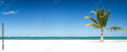 Fototapeta Naklejka Na Ścianę i Meble -  Coconut palm trees on tropical sandy shore. Caribbean destinations. Travel on the beach