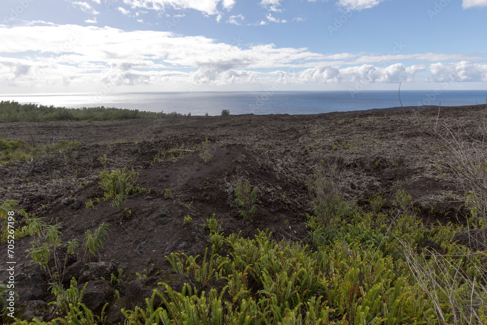 A landscape of volcanic land in La Reunion