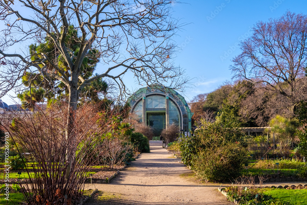 A nice garden, without much flower because it is winter, with the door of an old glass greenhouse.