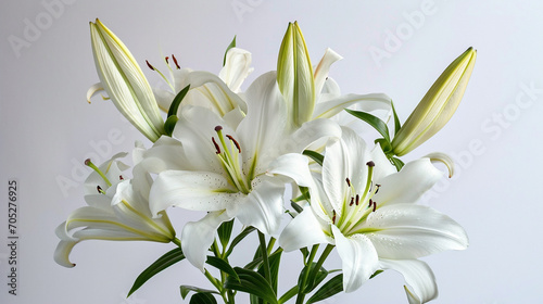 A bouquet of lilies against a white backdrop is a simple yet elegant composition that evokes a sense of purity and tranquility. ai generated. © Chatchawan