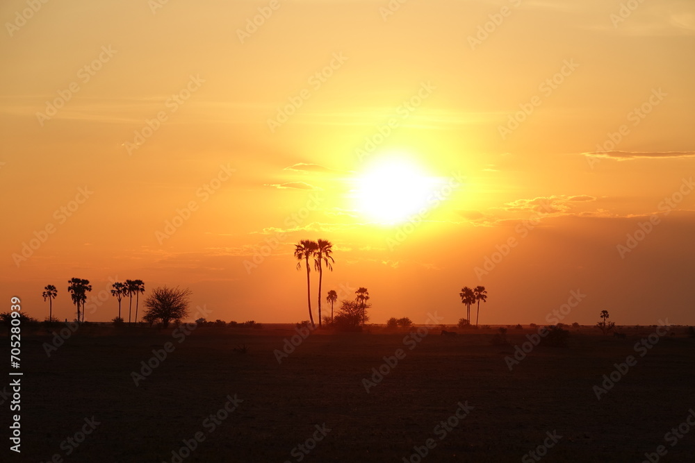 Sunset after a day of Safari in Makgadikgadi Salt Pan, Botswana