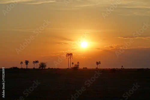 Sunset after a day of Safari in Makgadikgadi Salt Pan, Botswana © Bahia
