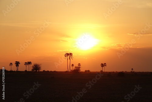 Sunset after a day of Safari in Makgadikgadi Salt Pan, Botswana