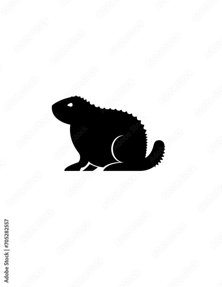 Gopher Gopher
