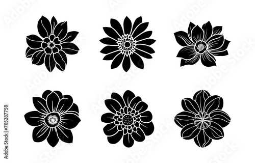 Hand drawn simple flower illustration