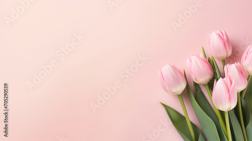 beautiful bunch of pink tulips flowers on decent pastel rose background - the background offers lots of space for text #705290539