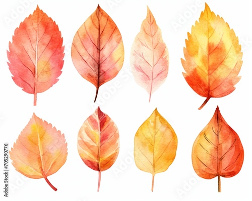 Watercolor autumn leaves set