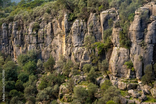 Panorama landscape of Tazı Kanyonu (aka Eagles Canyon, Tazi Canyon) and Bilgelik Vadisi (aka Wisdom Valley). Located in Köprülü Canyon National Park, Antalya, Turkey