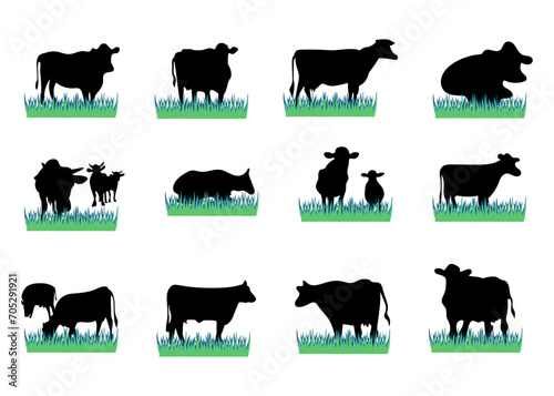 vector cow silhouette and green grass. set of animals.farm icons illustration flat style isolated photo