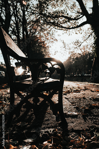 Bench in autumn park photo