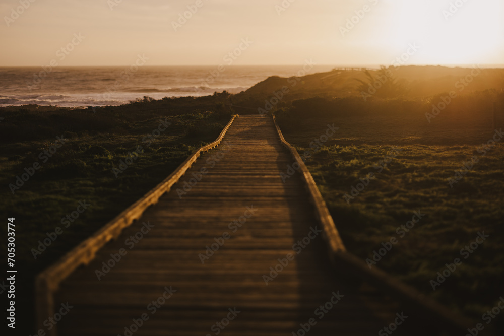 Fototapeta premium Pathway at Sunset