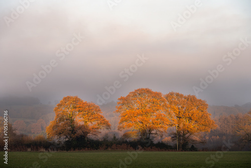 Walking around in Wealden, East Sussex, England , on a foggy autumn day