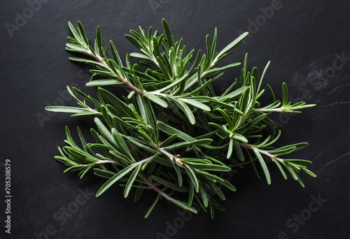 Rosemary on a dark backdrop with space for your recipe. A selection of herbs and spices from a birds-eye view.