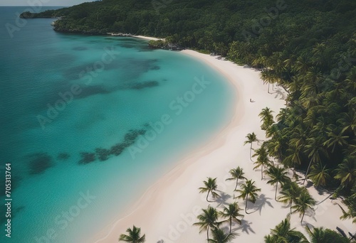 Tropical island palm tree beach from above stock photoBeach Tropical Climate Tropical Pattern Maldives Palm