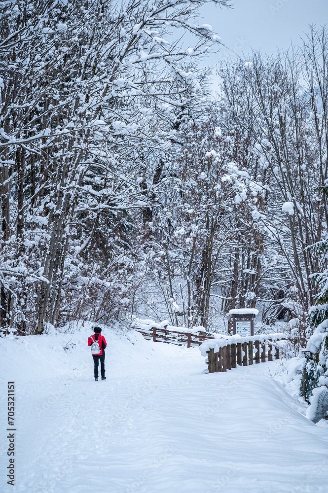 The tourist resort of Tarvisio after a heavy snowfall The tourist resort of Tarvisio after a heavy snowfall