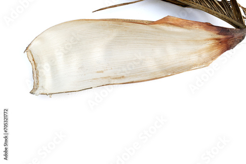 Betel nut leaf sheath on white background.