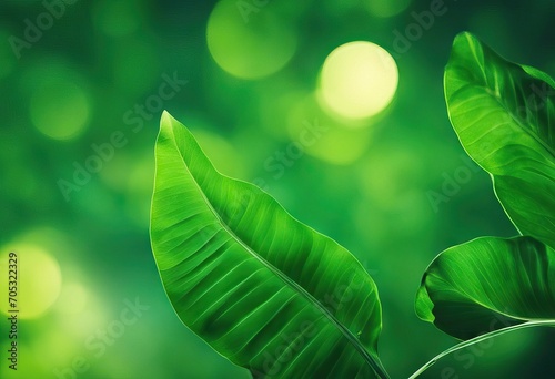 Green Abstract Backgrounds With Leaves stock illustrationEnvironmental Conservation Nature Leaf Green Color