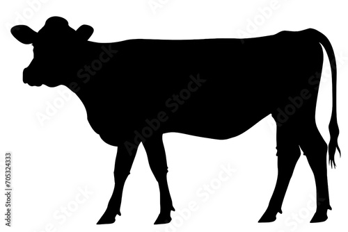 A black silhouette of a cow. photo