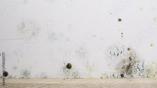 Mould and fungus growth on wall surface. Problem of ventilation and dampness in home interior. photo