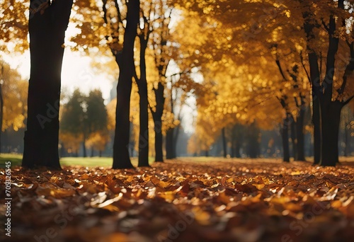 Leaf fall in the autumn city park Beautiful natural background stock videoAutumn Falling Leaf Backgrounds