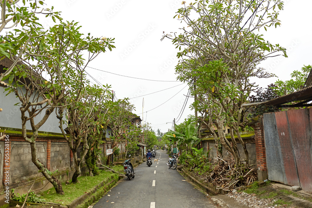 Fototapeta premium An asphalt road through the green jungle. Traveling during the day