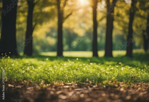 Abstract blurred background of trees and lawn stock photoBackgrounds Public Park Natural Parkland Defocused