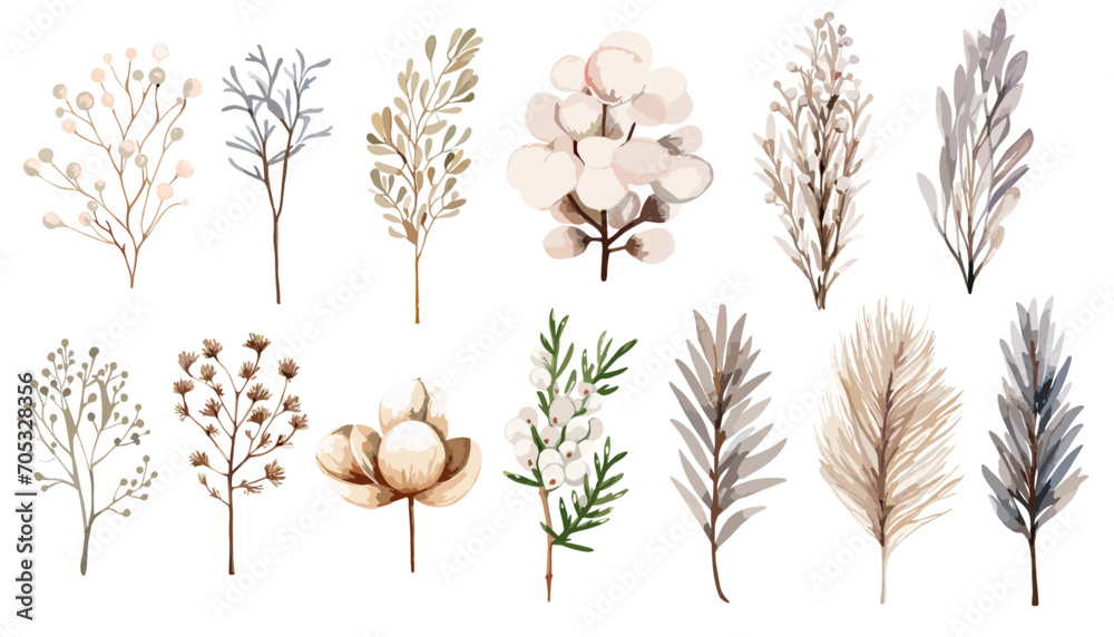 Watercolor twig, flowers and cotton  plant clip art collection.  Isolated on white background vector illustration set.  - obrazy, fototapety, plakaty 