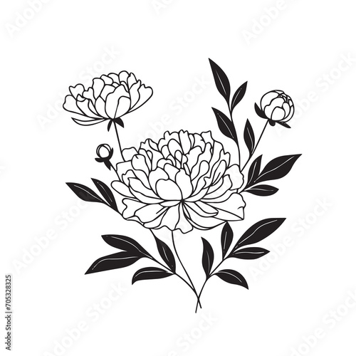 Hand drawn floral minimal elements in line art style. Greenery for decoration, wild and garden plants, branches, leaves. Vector illustration for logo. peony flower